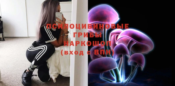 эйфоретик Арсеньев