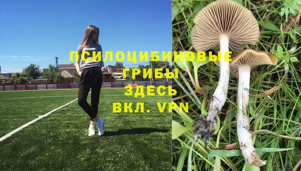 не бодяженный Армянск